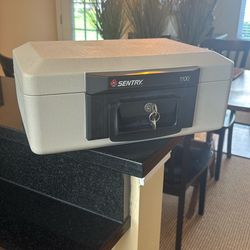 Sentry Safe.