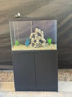 Aquarium For Sale