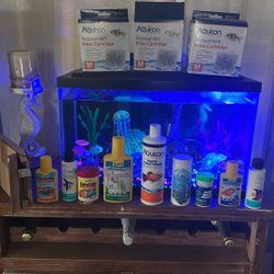 10 Gallon Fish Tank With Everything In It. 