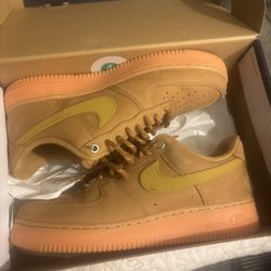 AF-1 Wheat 