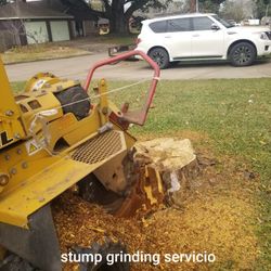Stump grinding 