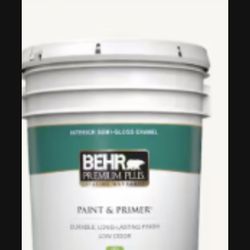 Pintura Blanca Semigloss Nueva $140