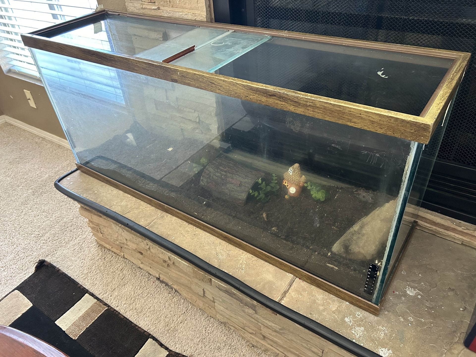 Fish Or Reptiles Tank