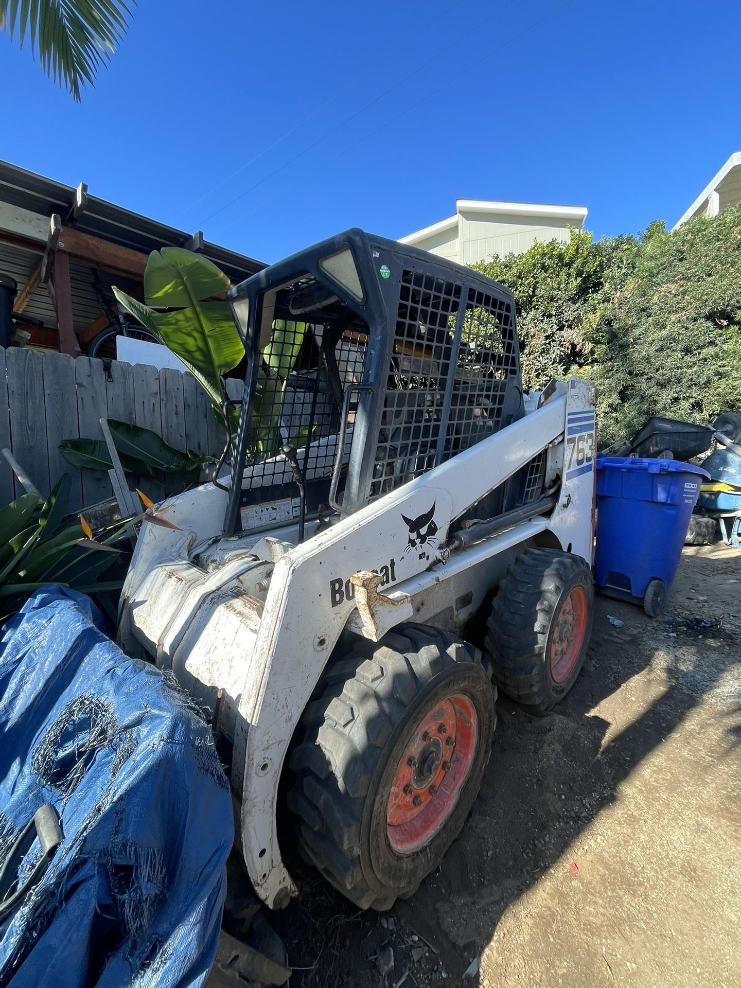 763 Bobcat