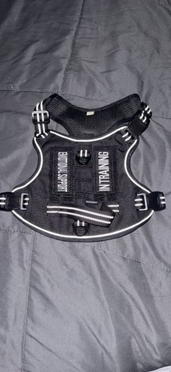 Dog training vest