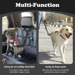 The two - piece dog leash set is made of wear - resistant and skin - friendly materials.