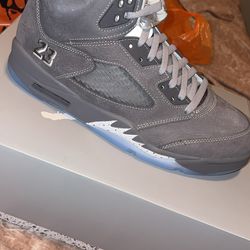 Wolf grey 5