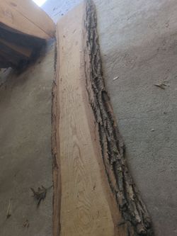 Ash wood slabs with live edge