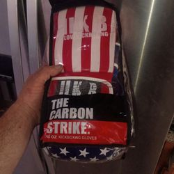 Brand New Kick Boxing Gloves 