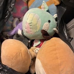 Squishmallows & Stuffed Animals