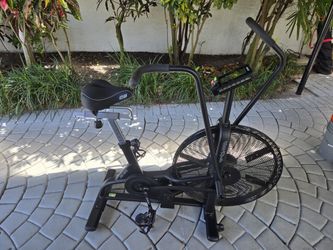 Assault bike - perfect condition - garage kept - fully functioning and clean