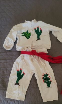 Used costume 2T