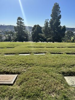Forest lawn Glendale. 