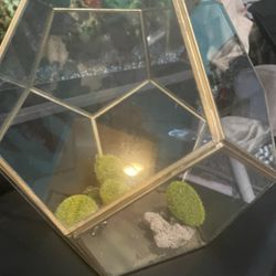 Glass Geometric Plant Pot