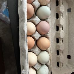 Eggs