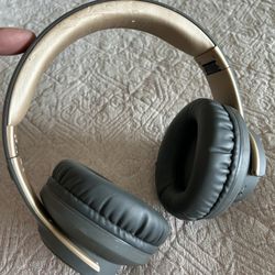 Picun Bluetooth Headphones