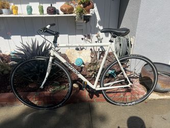 Mercier Kilo tt Fixed Gear Bike