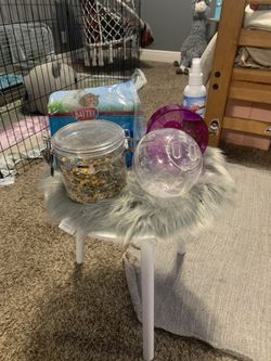 HAMSTER AND GERBIL STUFF/NEEDS