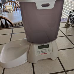 Automatic dog feeder