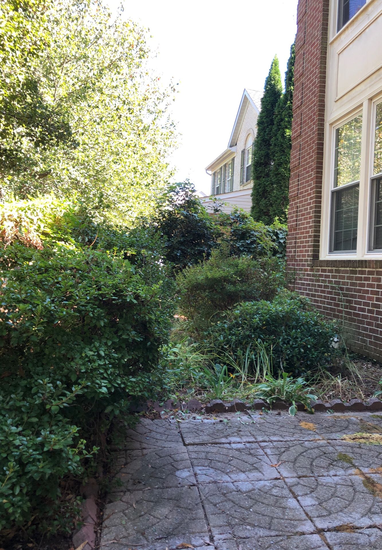 Help wanted trimming trees and bushes