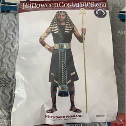 Pharaoh Medium Adult Costume