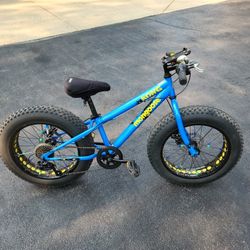 Mongoose kong fat tire mountain online bike