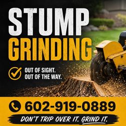 Tree Stump grind•SAME DAY