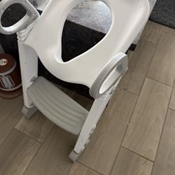 Potty seat with step leader