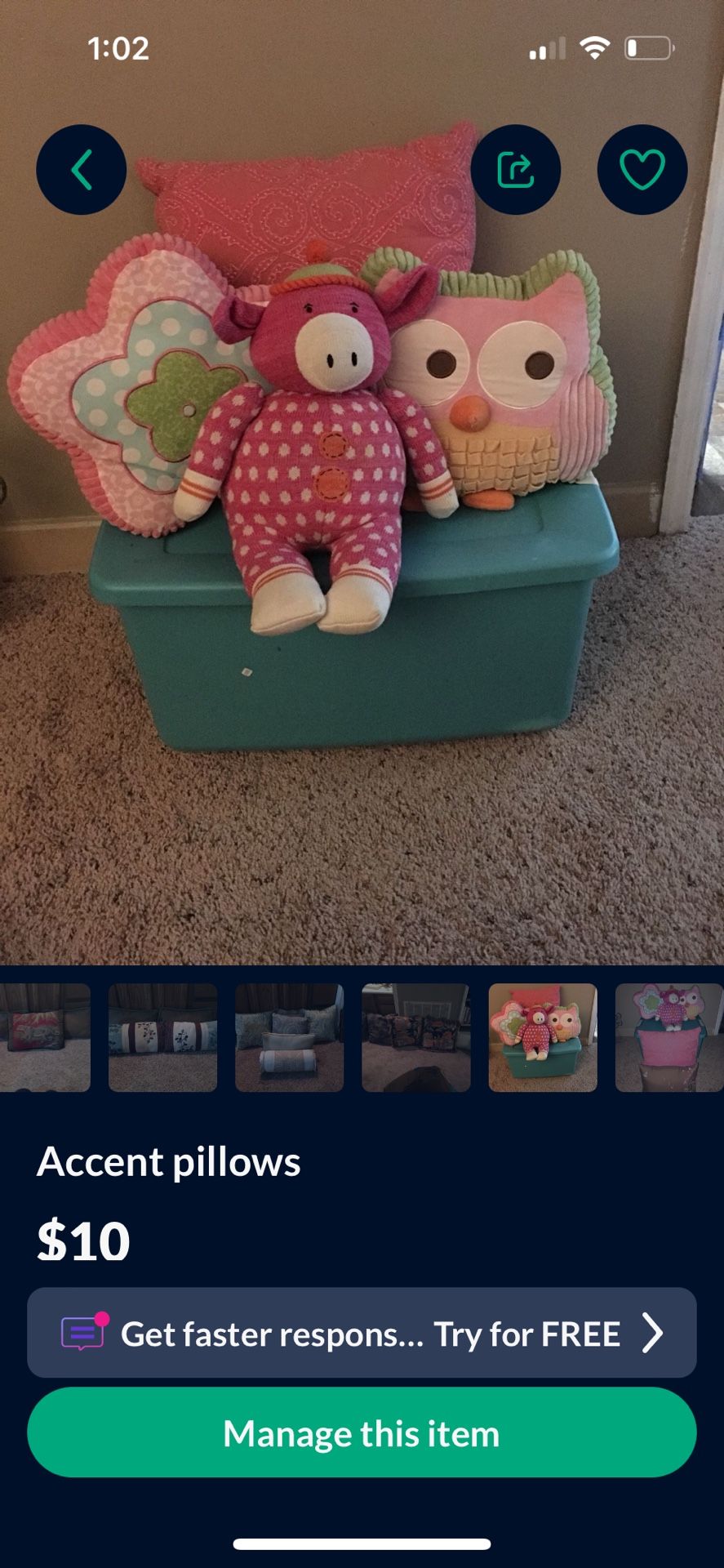 Decorative Throw Pillows