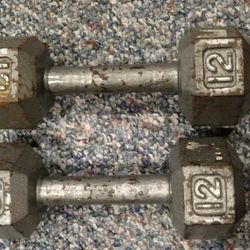 Iron 12 Lb Dumbbells