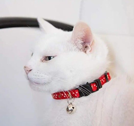 Puppy Dog & Cat Collar