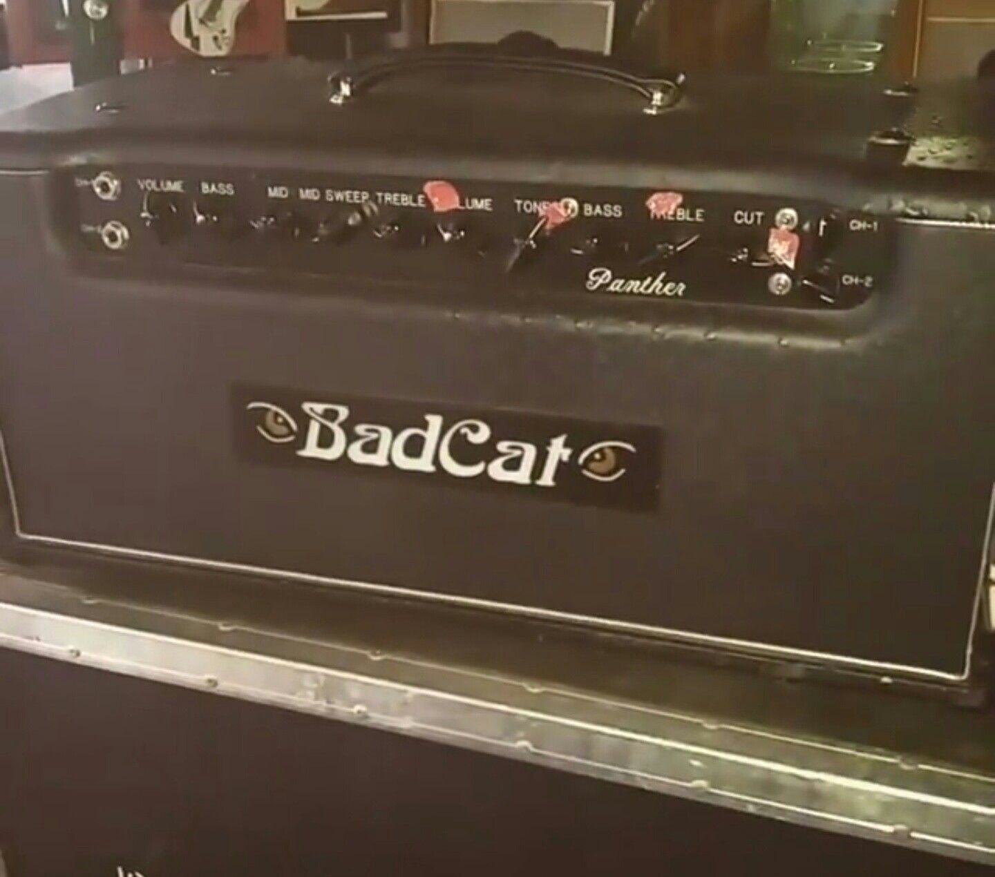 Bad Cat Panther Amp
