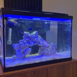 AQUARIUM- Tank