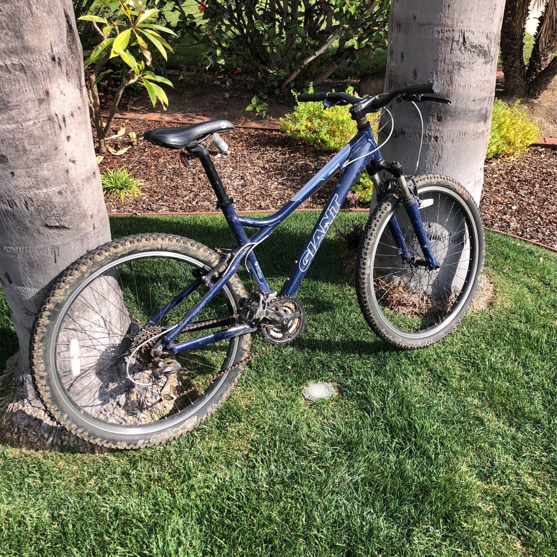Giant Rincon Mountain Bike with 17 Frame for Sale in La Costa CA OfferUp