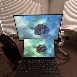 24” Gaming Monitor 