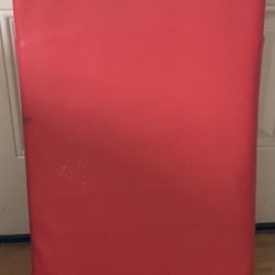 Red Punching/Kicking Pad