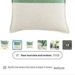 2 pack Mainstays 18x18 two toned pillows