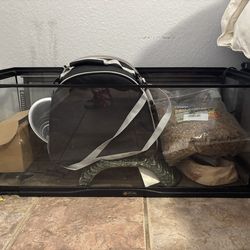 Bearded dragon cage set up