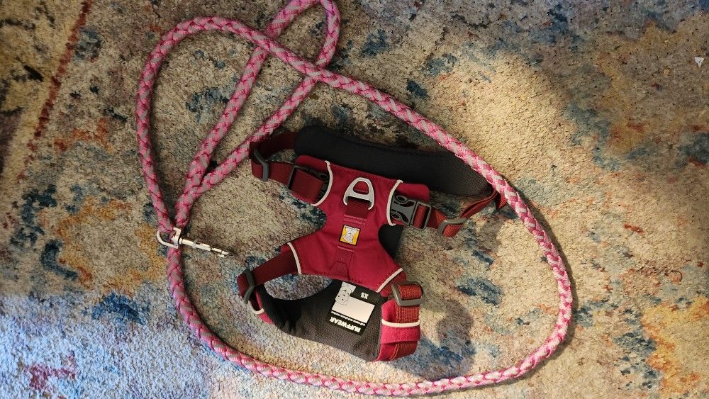 New Doggy Halter and New Leash
