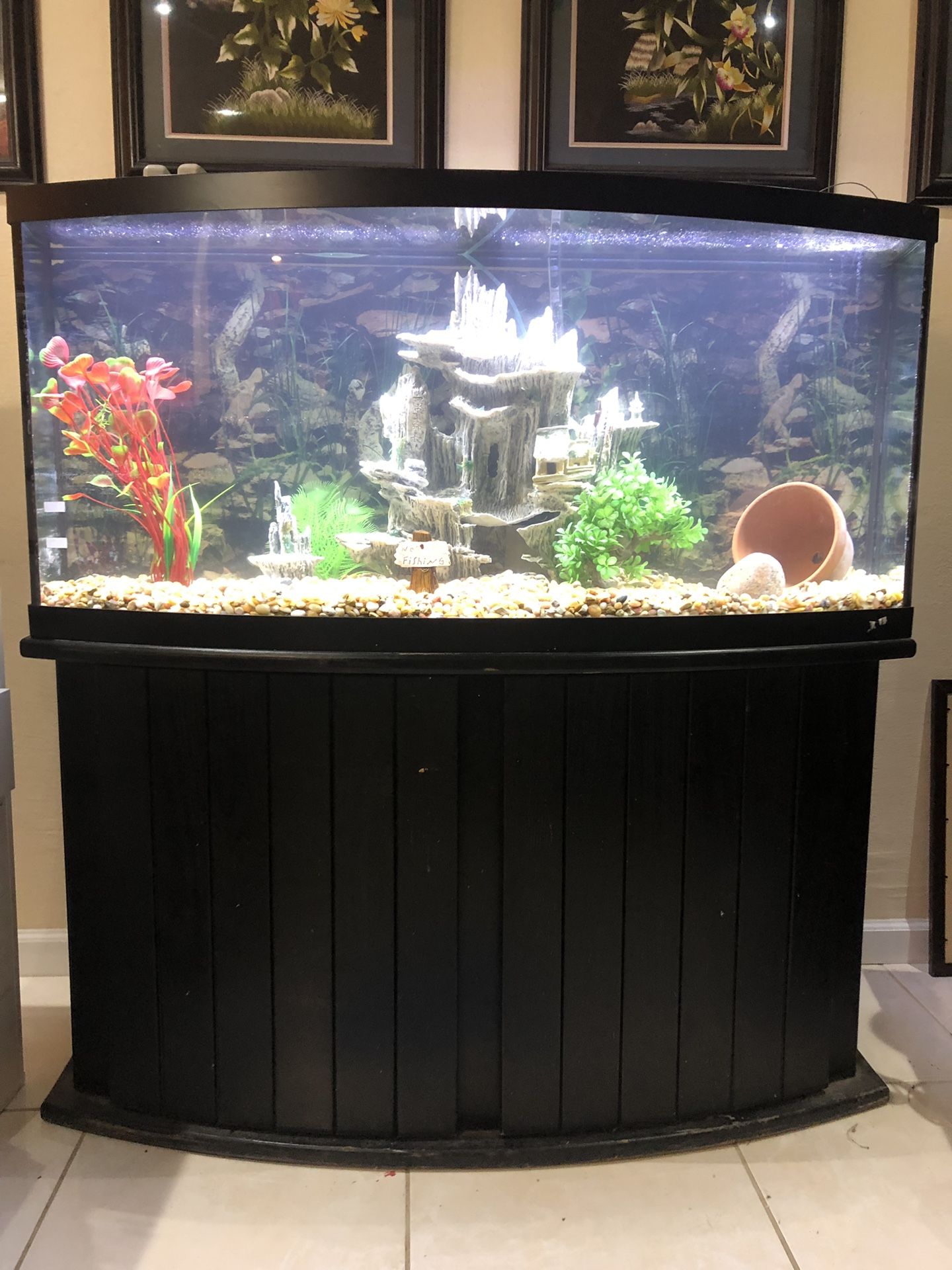 75 gallons bowl front fish tank aquarium with stand