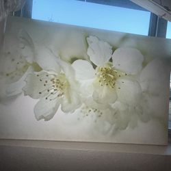 Flower Canvas Wall Art 