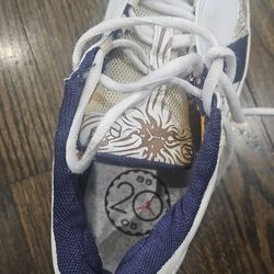 Micheal Jordan  2005 gym shoes