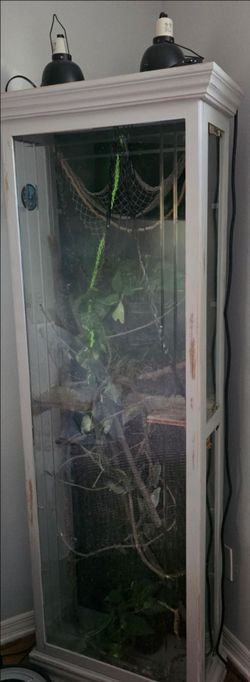 Reptile enclosure