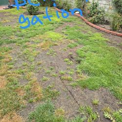 Irrigation Valves