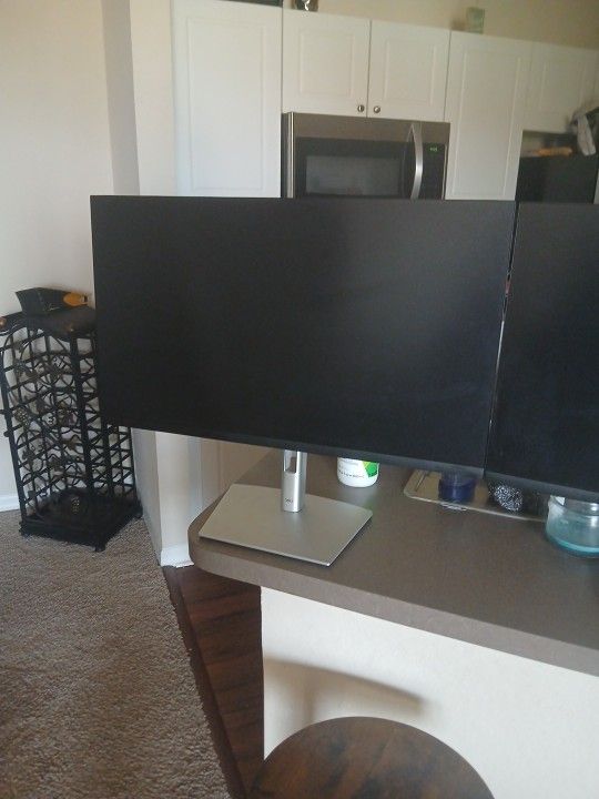 Two 24 Inch DELL Monitors With STAND