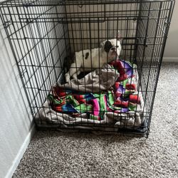 Large Dog Crate