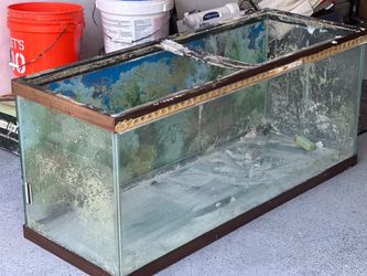 Aquarium Tank for Sale – $45 OBO