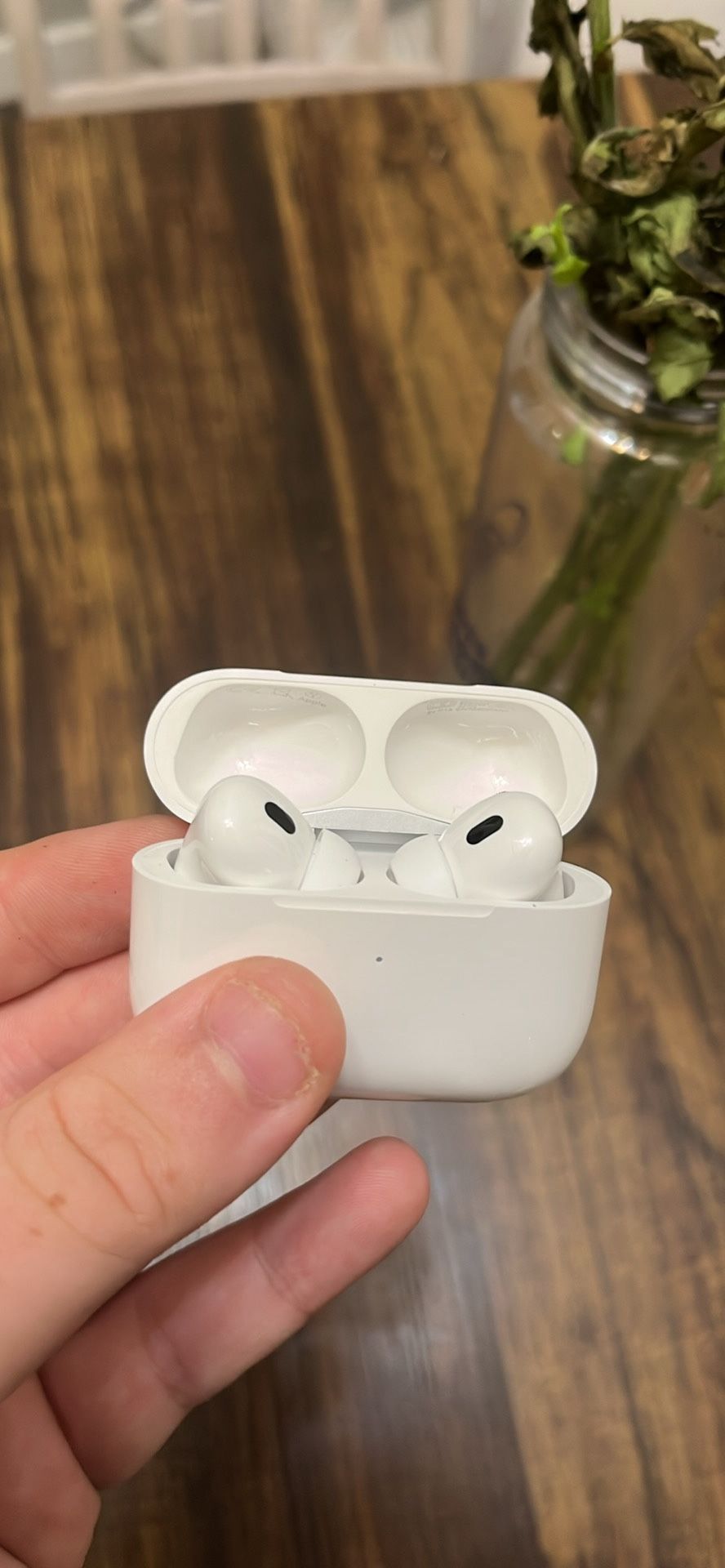Airpod Pros Second Generation