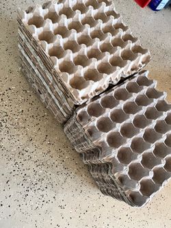 Egg carton