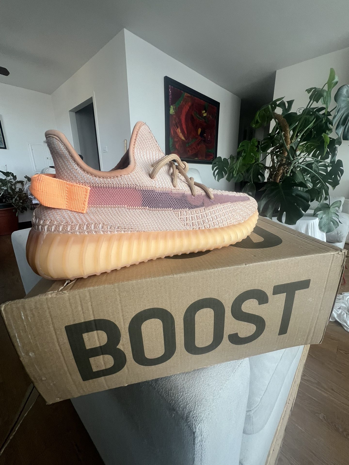 Yeezys π Color